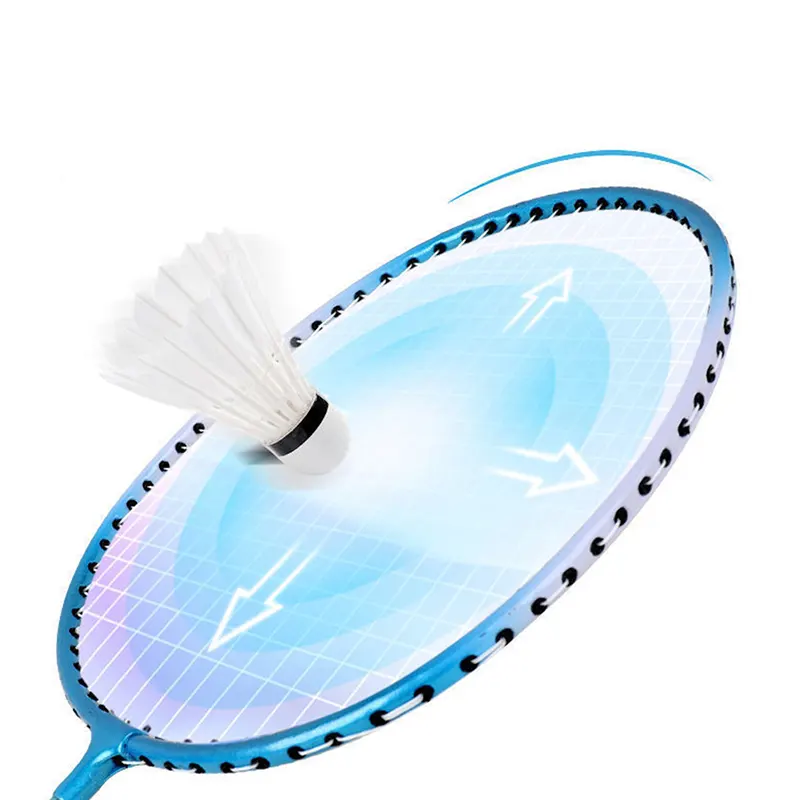 Raquette badminton, ensembre 2 raquettes avec housses de transport, bleu haute qualité