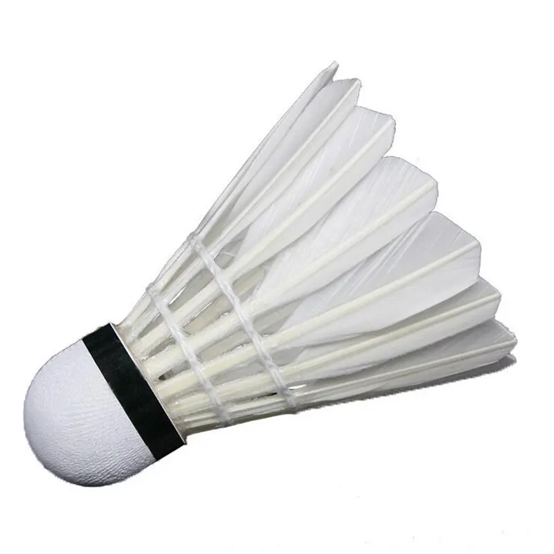 Volant badminton, 12 pièces en plumes d'oie, blanc niveau renforcé