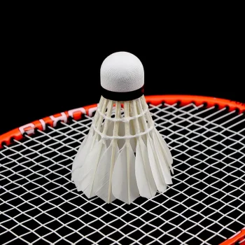 Volant badminton, 12 pièces en plumes d'oie, blanc qualité supérieure